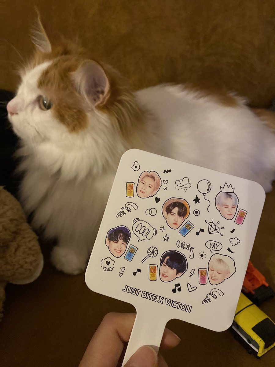 MPon0319's tweet photo. 可愛すぎる💖
💛justbite💙
鏡欲しすぎて注文しました♪
歯磨き粉としてもとっても使える〜(*'▽'*)
#저스트바이트
#justbite
#victon #빅톤 https://t.co/3An5LjHLiv