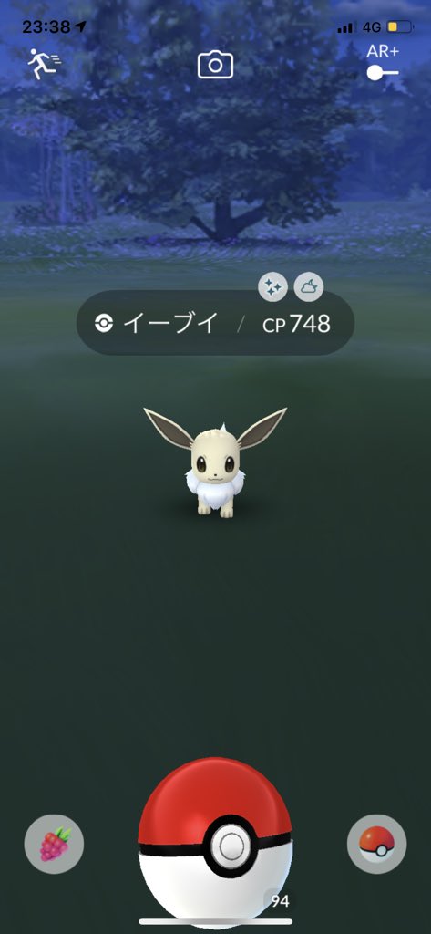 野生のカビゴン