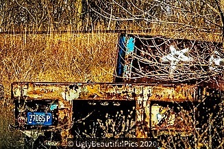 BeautifulUglies's tweet photo. #UglyBeautifulPics #beautifullyuglypics #nikonphotocontest #ho wiseetheworldaroundme #lifejourneypitstop #happenstance #lifeofasocialworker #nikonwilderness #nikonphotography #puremichigan #beautyiseverywhere #beautifulisuglyisbeautiful #3% #findingmywayonmyown #resilience #… https://t.co/tya15HtCS2
