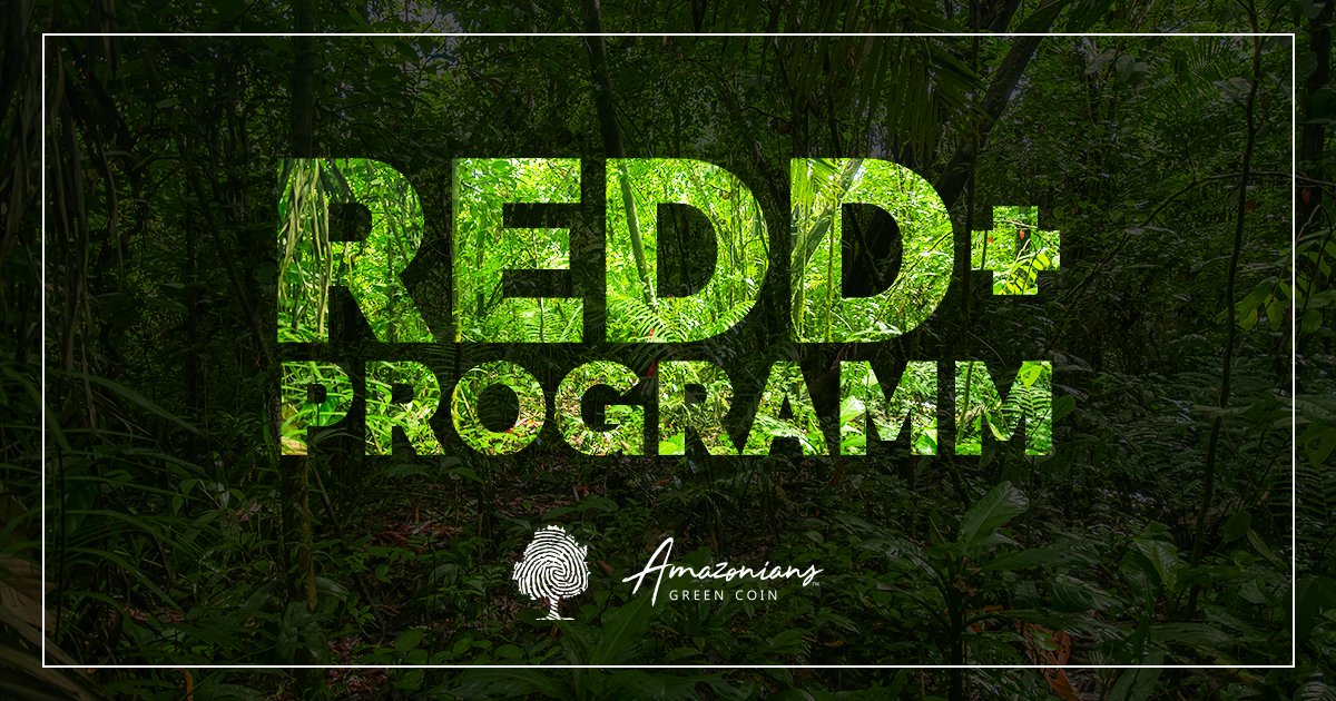 Amazonians Green Coin tweet media