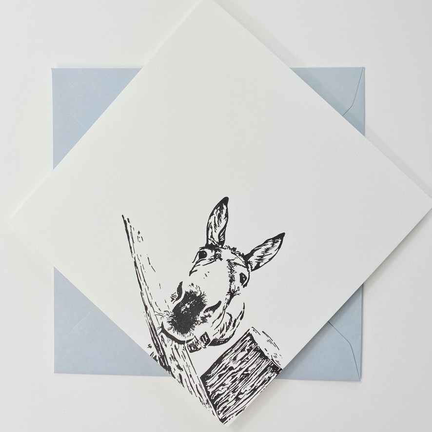paicer's tweet photo. Gotta love a Donk!  Printed Letterpress on to a lovely GMUND cotton these greetings cards.. by us... are a lovely new addition to our growing range of greetings cards... #letterpress #donkey #gmundcotton https://t.co/w3gcbmsV9Z