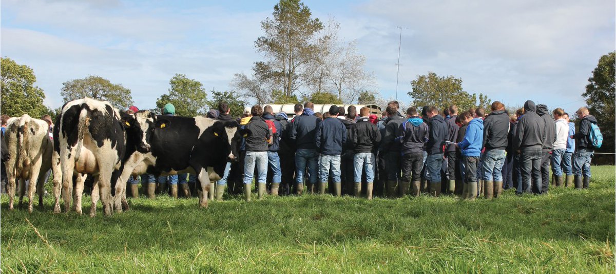 teagasc's tweet image. Teagasc are now accepting applications for the Professional Diploma in Dairy Farm Management Programme. Applications must be submitted by Friday, 1 May 2020. The programme is validated &amp;amp; awarded by @ucdagfood . Find out more here bit.ly/2TLn74s @EmmaLouiseCoffe