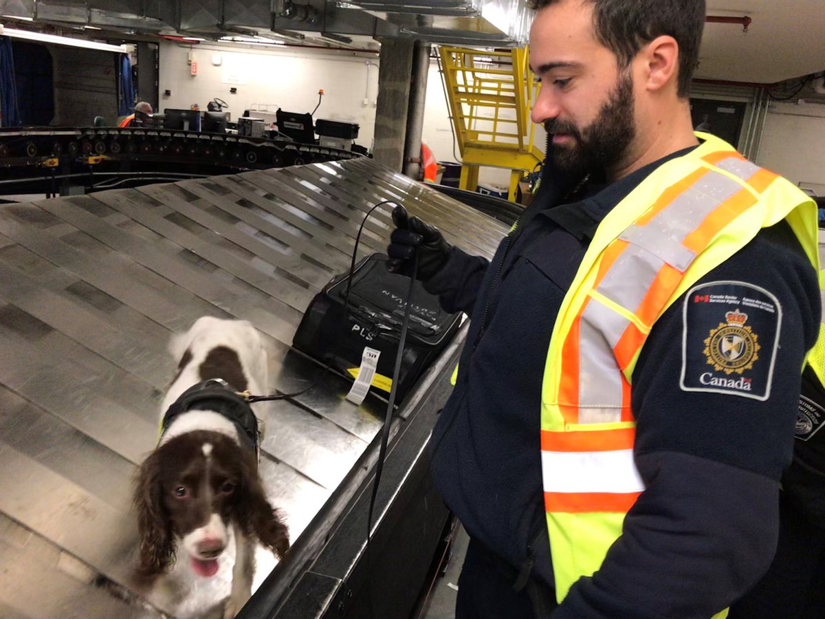 OFO_Global's tweet photo. #DFOPreclearance. @CBP Ottawa Preclearance and CBSA continue to strengthen the strong working relationship in the Preclearance environment with joint operations. The partnership is forged with the goal to keep our shared border safe for both countries. #CBSA #securingborders https://t.co/cSo0wDoxsw