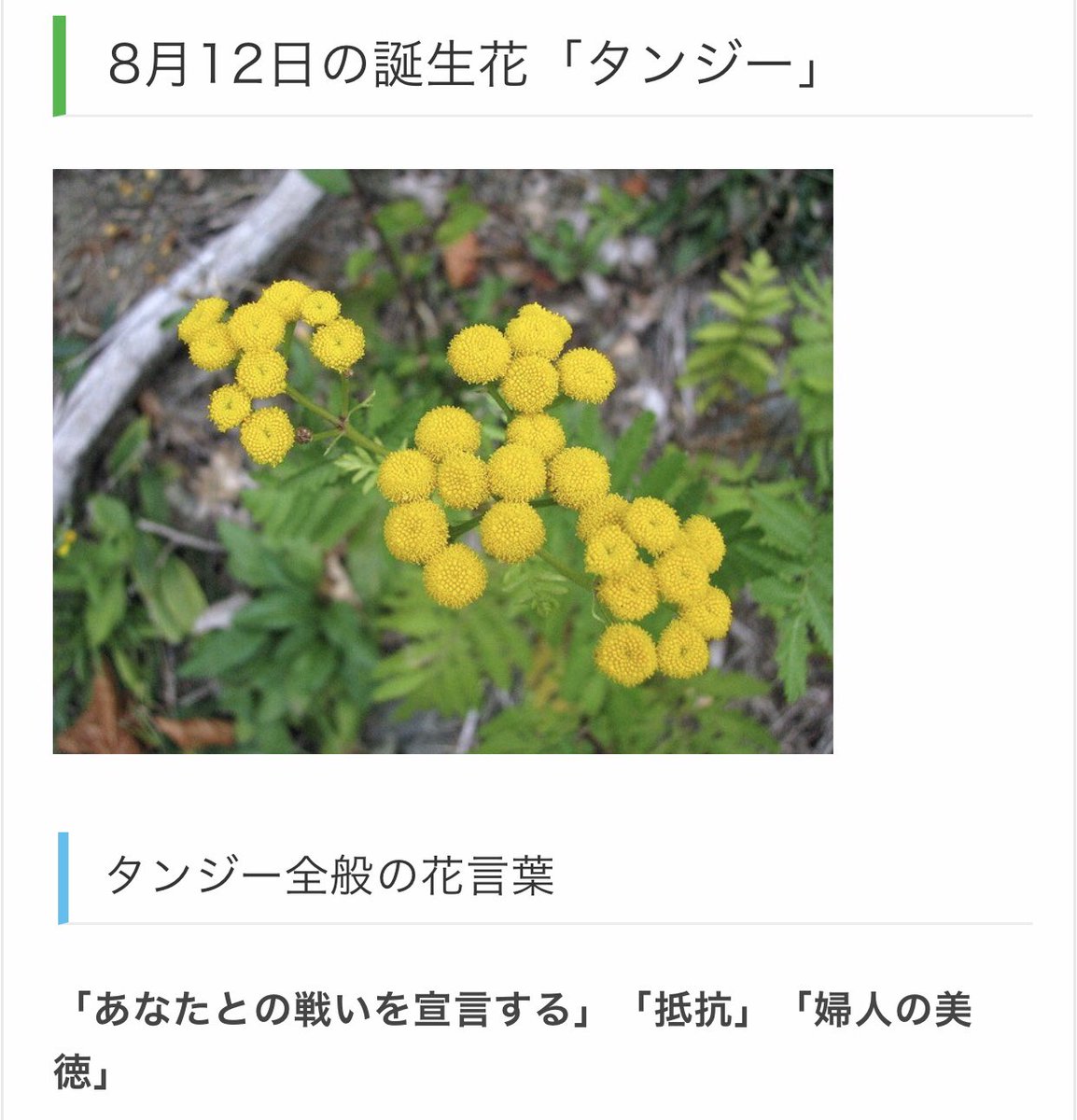 Amino 8月12日生まれ 色言葉 情熱 孤独 節度 誕生花 クロユリ キョウチクトウ タンジー 誕生石言葉 自然のなりゆき 星言葉 夢に突き進む楽観主義者 酒言葉 何事も楽しめる自由人 鮨言葉 本気 誕生鳥言葉 繊細でデリケートな心のシンデレラ あみの