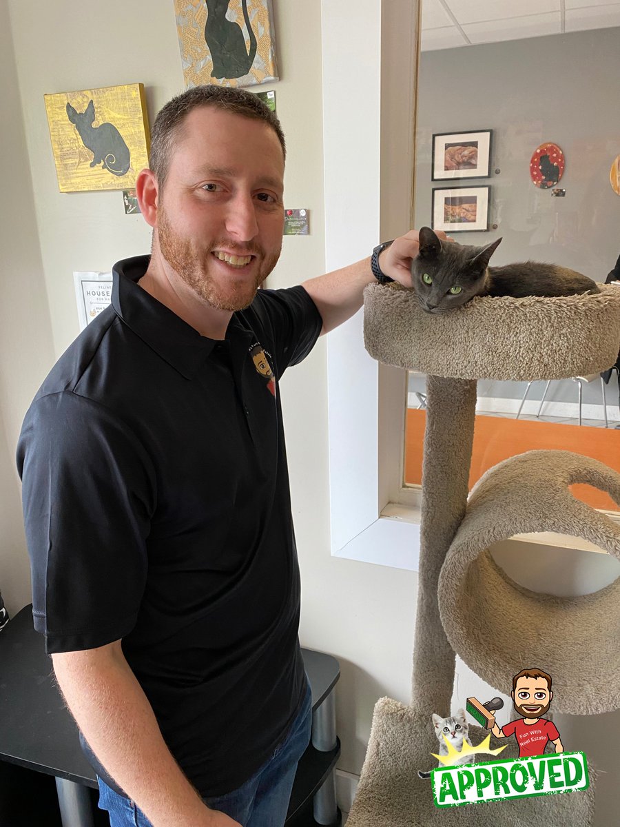 SusanAndMoeTeam's tweet photo. This week Adam visits Feline Café Ottawa in Hintonburg. This café offers delicious food and drinks alongside some adorable furry friends! Check out this video to find out more!

https://t.co/dlzHA99u9W https://t.co/uOlGjxOiF9