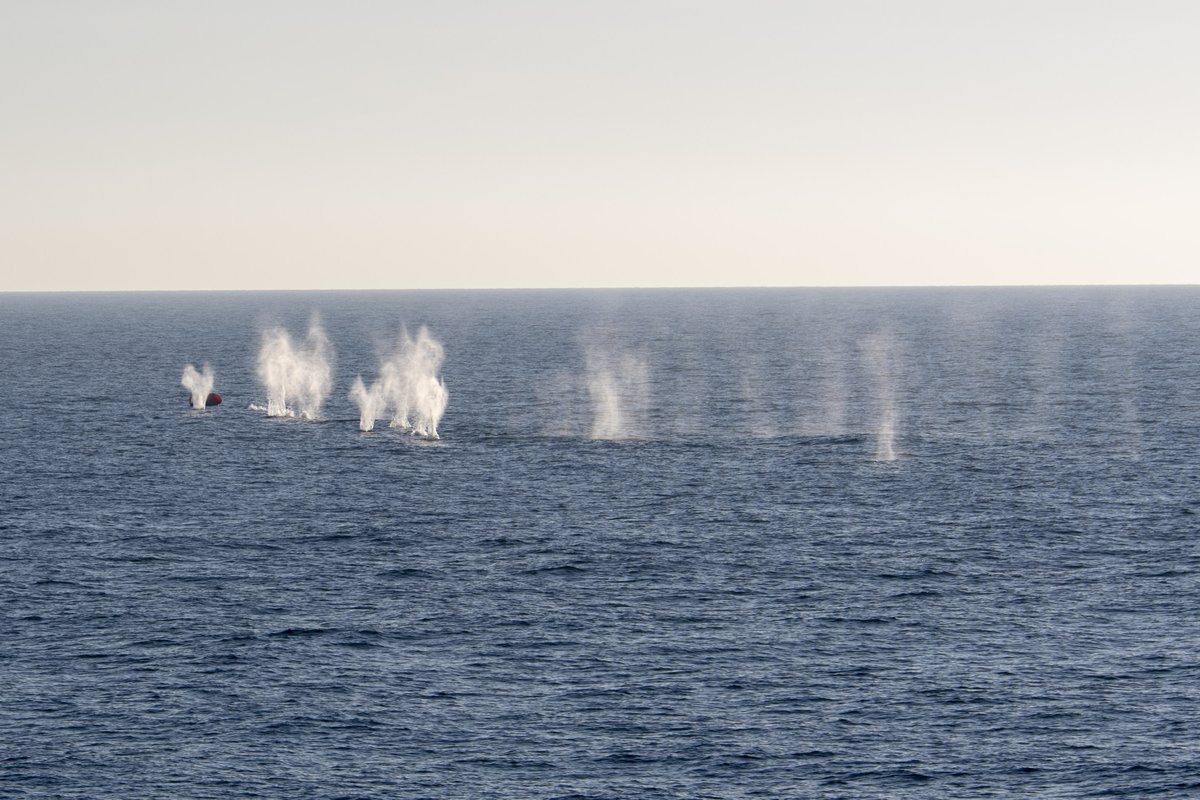 CJOC_COIC's tweet photo. #HMCSFredericton recently sailed in one of the largest Anti-Submarine Warfare (ASW) exercises, #ExDYNAMICMANTA which consisted of 6 NATO allies.
The exercise focused on building familiarity and refinining ASW procedures, and included a joint live-firing practice. 💥 https://t.co/MaZHbCFKsW