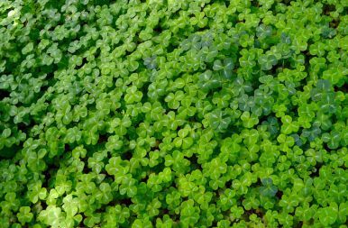 Daniel Cobb tweet media