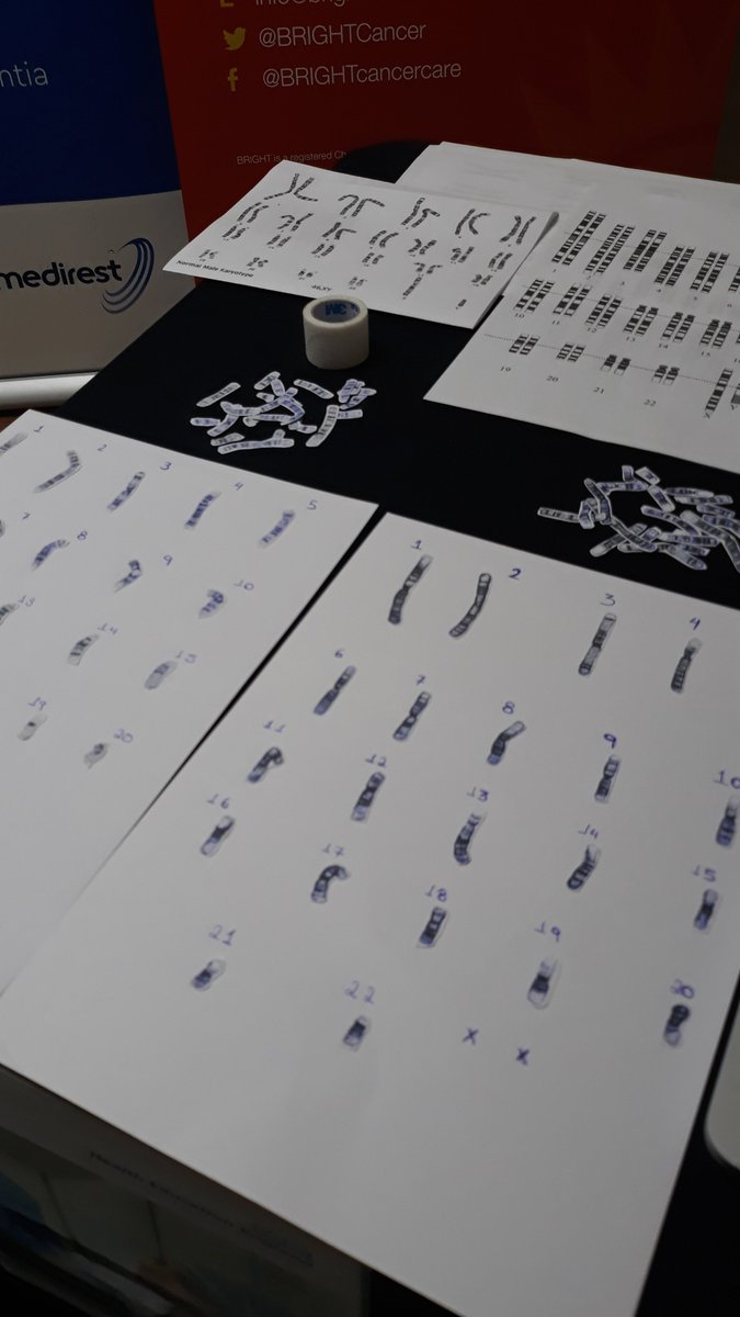 SouthEastHCSTN's tweet image. Check out the last station for the #HCSWeek2020 #HCSWeek20. Take the opportunity to meet people from #ScientificComputing #NCCPM in the hospital and learn about the field of #Bioinformatics.
We are proud to be part of @NSHCS and #STEM, and help the improvement of #healthcare!!