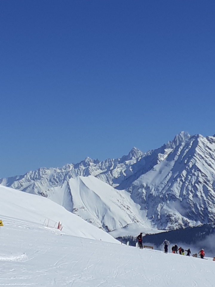 SKI PLANET tweet media