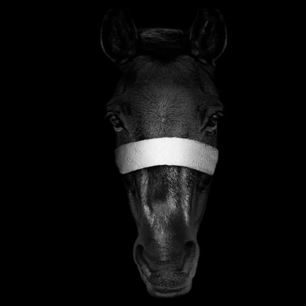 JackMurphys2's tweet photo. We're kicking off the Craic today with the Cheltenham Races from 1pm.  Let's leave our worries at home and enjoy some spectacular sporting events this weekend. #JackMurphys #JustfortheCraic https://t.co/rfKG3s9mVU