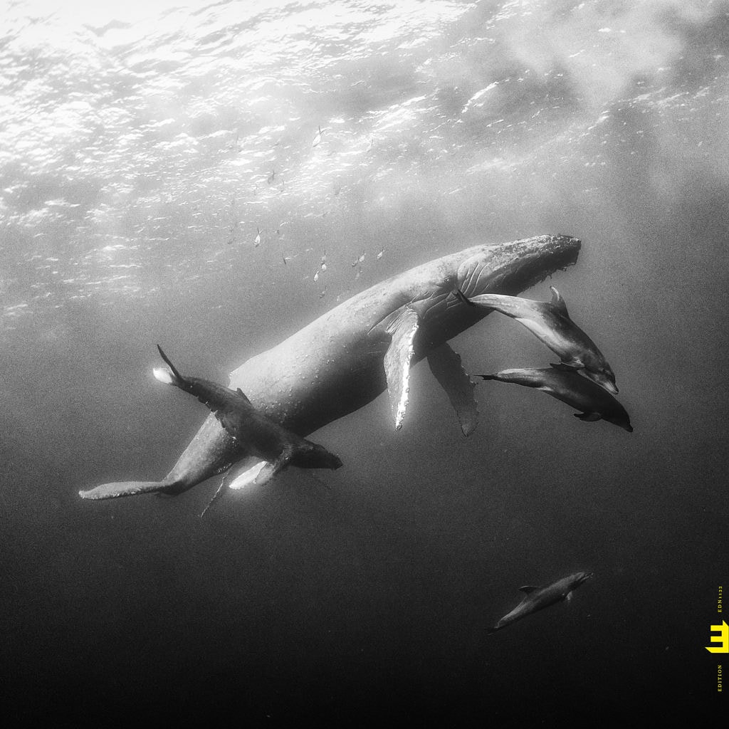 okcovers's tweet image. Kevin Hays &amp;amp; Lionel Loueke - Hope 2019
#kevinhays #lionelloueke #editionrecords