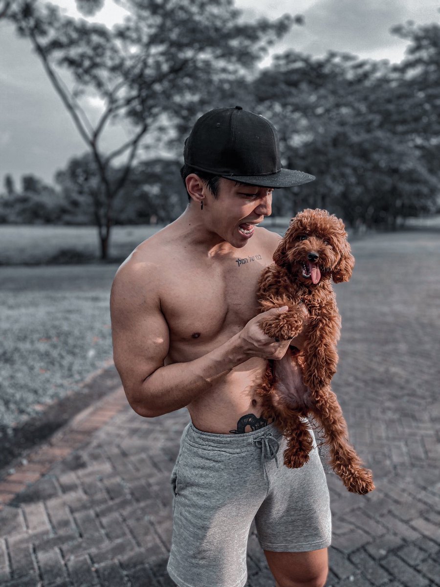 andrew_yogii's tweet photo. There is nothing truer in this world than the love of the dog. 🤍 #dog #dogsofinstagram #doglovers #doglife #dogstagram #andrewyogi #sore #soreini https://t.co/wsQ2dEUFdt