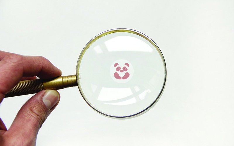 cranberry panda tweet media