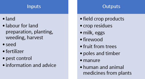 Stats4SD's tweet photo. Ric has written the March edition of our blog entitled ‘Remembering and measuring data’ – do have a read and leave us a comment – we’d love to hear what you think 😊 https://t.co/XR9osC6ZDw #datablog #measuringdata #smallholderfarmers https://t.co/m8G4rKRA1J