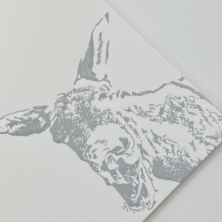 paicer's tweet photo. Gotta love a Donk!  Printed Letterpress on to a lovely GMUND cotton these greetings cards.. by us... are a lovely new addition to our growing range of greetings cards... #letterpress #donkey #gmundcotton https://t.co/UUtzp1RySd