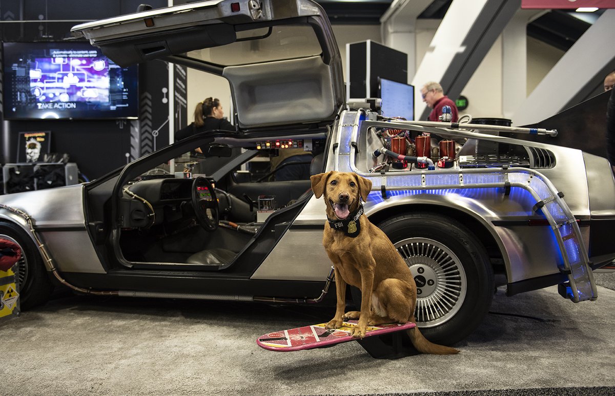 FBI's tweet photo. Heroes come in all shapes and sizes — only some have four legs and a better sense of smell. On #K9VeteransDay, the #FBI honors all of the hardworking dogs that have served our community and our country. Thank you. https://t.co/SLbDcGPuiS