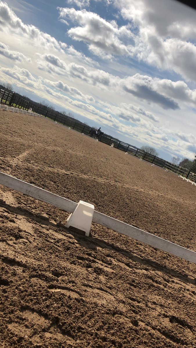 SHU Equestrian tweet media