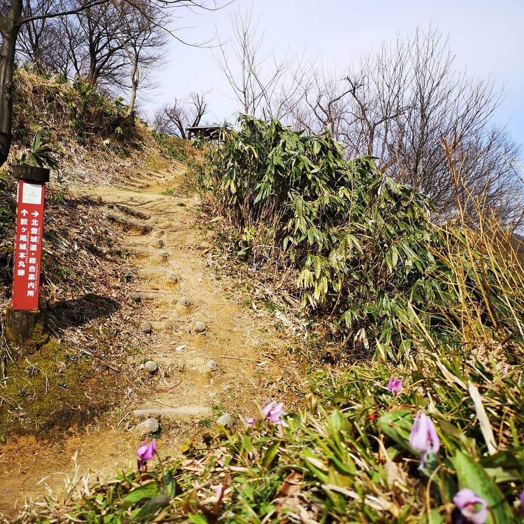 samegao77's tweet photo. 斐太歴史の里より
鮫ヶ尾城跡へ
午後から雨の予報
午前中は昨日ほどでは有りませんが散策にはちょうど良い天気でした💕
カタクリ本当に
4月オープン時には終わりそうです😅
#妙高市 #斐太歴史の里 #続日本100名城 #鮫ヶ尾城跡 #myoko #hidarekishinosato #samegaocastle https://t.co/sFVAQfv0Dz