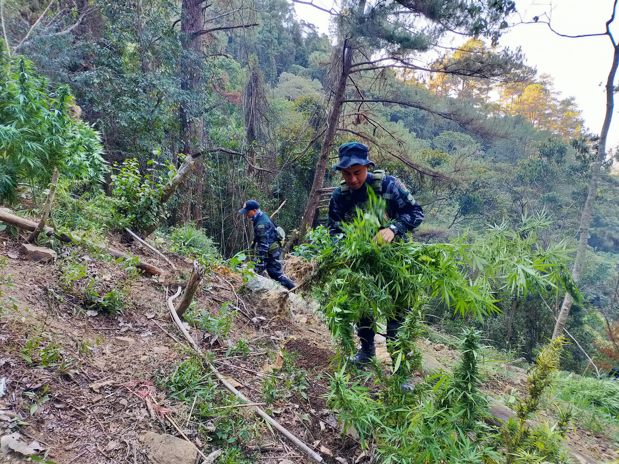 PNPBenguetPMFC on Twitter: