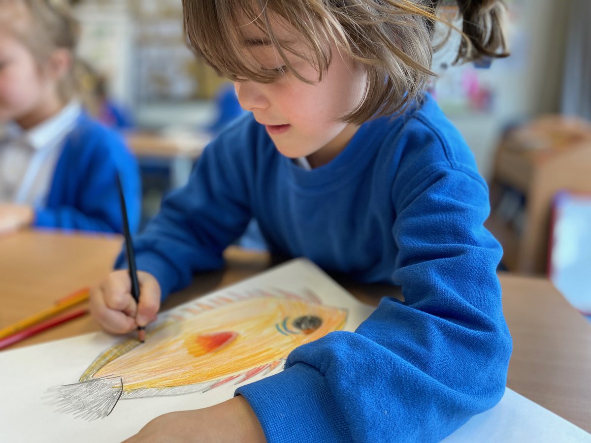 BSNJSV's tweet image. #JSVY2 have just begun their art unit by carefully sketching different imaginative fish. Important skills learnt today were to take their time, sketch lightly and think about variations of colour.