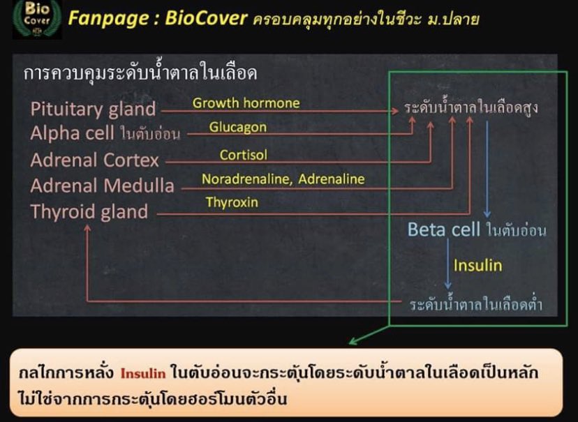 follforfight's tweet photo. รวมความรู้จากข้อสอบเก่า
#9วิชาสามัญ  ชีวะปีก่อนจ้า

#กสพท63 #dek63 https://t.co/aYZhVHurTl