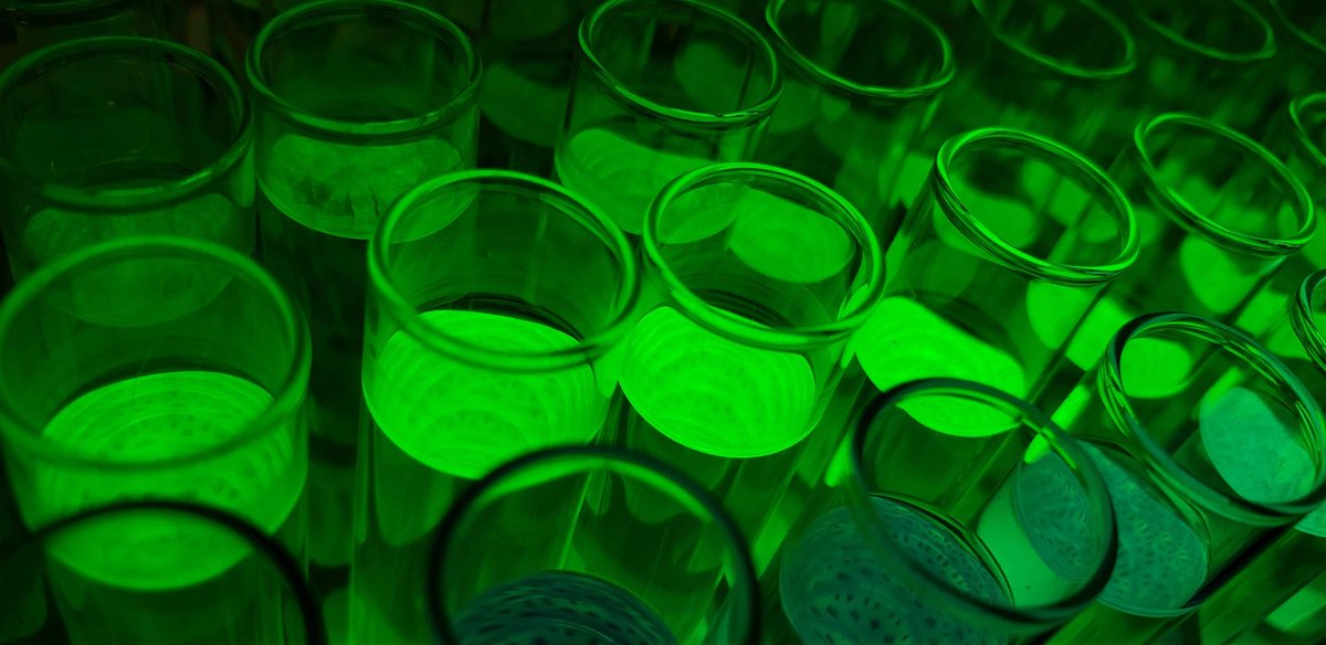 #FluorescenceFriday
