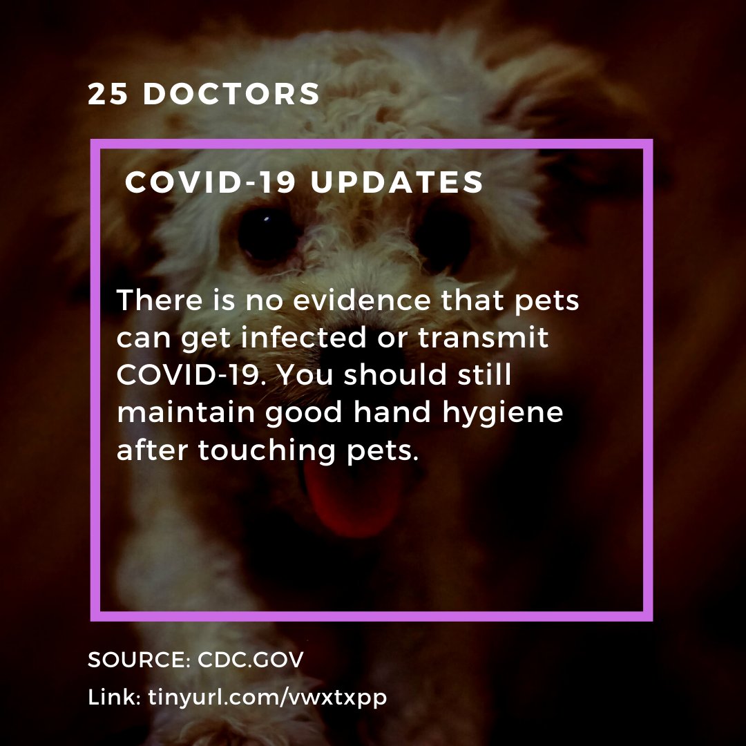Your pet does not need a mask.
_
#coronavirus #covid19 #covid2019
