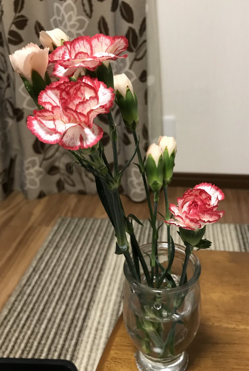 吉野 Ar Twitter まともな花瓶がないから毎回300円くらいの量しか買えないけど テキトーに生けても可愛いからやるといい 最近の花 です 180円と210円 吉野 Ar Twitter まともな花瓶がないから毎回300円くらいの量しか買えないけど テキトーに生けても可愛いからやるといい 最近の花 です 180円と210円