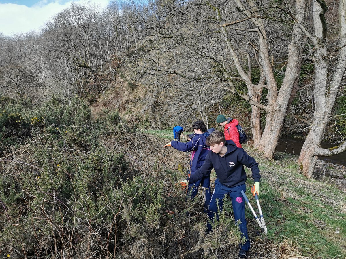 FettesLearn's tweet photo. As part of our 3rd Form project week on Climate Change, our students are busy contributing to a conservation project at the @GlencorseCentre 🌿

Keep up the hard work everyone!

#FettesLearning #FettesCollege https://t.co/sehNvGsndq
