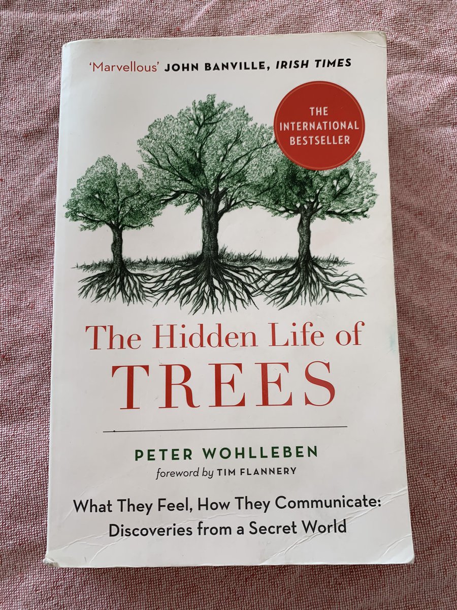 annikasjobergh's tweet photo. @anterovartia The Hidden Life of Trees! Metsänhoitaja kertoo uusista puihin liittyvistä tieteellisistä havainnoista ja kuvaa oma suhdettaan puihin ja luontoon. Aivan ihana kirja, suosittelen. #hiddenlifeoftrees @PeterWohlleben thanks for writing the best book I read all last year. https://t.co/MFlO2hvz1C