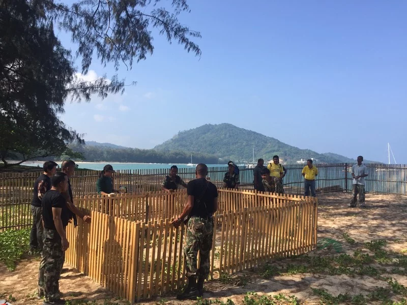 SEAFARERDIVERS's tweet photo. THAILAND (Phuket - Environment) - NEW TURTE NEST FOUND ON PHUKET BEACH
PHUKET: Officers at Sirinath National Park were called to a small beach just south of Nai Yang early this morning (Mar 11) where a turtle nest was found containing more than 120 eggs.
https://t.co/KxtWF5Oln2 https://t.co/xL4v1rLIBG