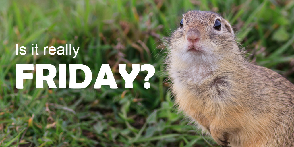 InboxDollars's tweet photo. Yes, it is Friday! 😀What are your plans for this weekend? https://t.co/j8wZzqh5vH