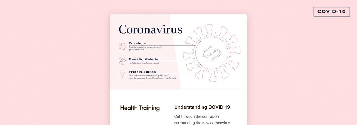 To cut through all the misinformation, our team at <a href="/getrisedotcom/">Rise</a> put together this incredible (and free) COVID-19 course. Education is always one of the most powerful weapons we have as a society. blog.rise.com/covid-19/