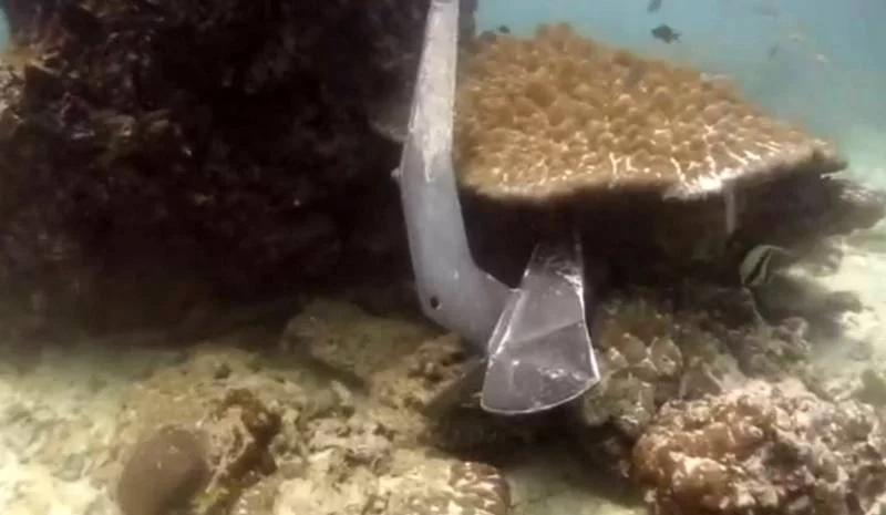SEAFARERDIVERS's tweet photo. THAILAND (Tourism - Environment) - FRENCHMAN FACES HEFTY FINES FOR DROPPING ANCHOR ON PROTECTED CORALS
PHUKET: A 67-year-old Frenchman is facing serious fines for dropping anchor on protected corals off Koh Racha Yai, south of Phuket.
https://t.co/7Z0SGb8PKJ https://t.co/JV3ENEJYoE