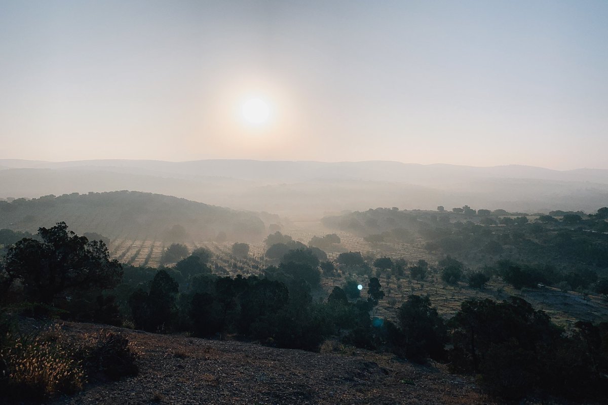 Wat een feestje was het om 2 weken door Marokko te reizen. Vanochtend afscheid genomen van de laatste stop van onze roadtrip.