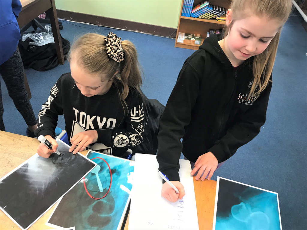 AdcoteSchool's tweet photo. The girls enjoyed learning about all aspects of veterinary care during a visit from a PDSA veterinary nurse this morning.

Did you know that the PSDA treat 470,000 pets every year in their 48 Pet Hospitals.

#PDSA100 #Veterinary #Pets https://t.co/zDqHZskVNx