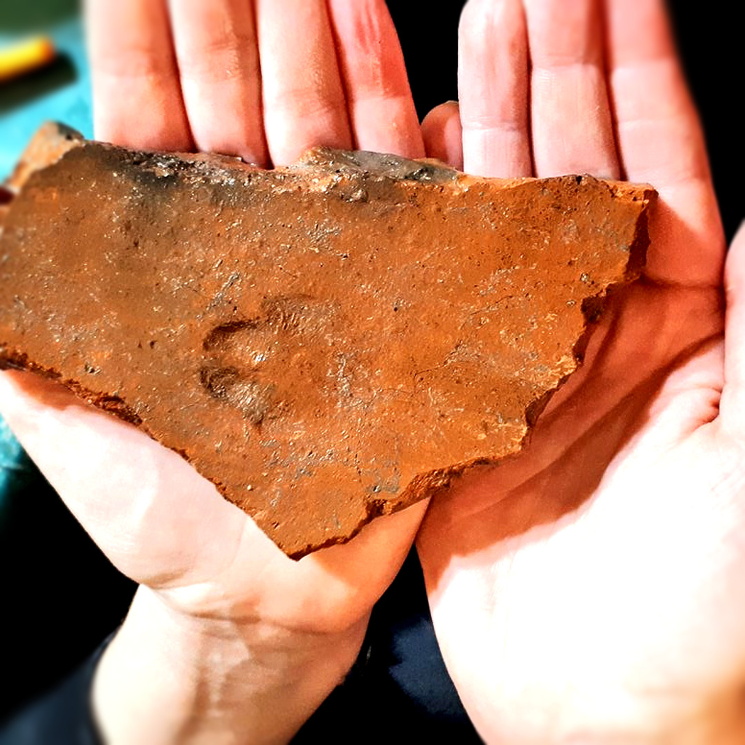 TheDigVenturers's tweet photo. ๐ฆ Today's our lucky day because we found a Romano-British fox paw print!
Nearly 2,000 years ago, a fox wondered through a tile makerโs yard where wet tiles were put out to dry, leaving this imprint of their paw for us to find. Fantastic!
#EarthTrustDig https://t.co/5KHvlUb1HN