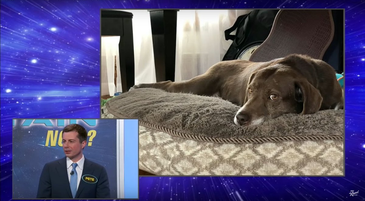 PetsForPete's tweet photo. Who's the Captain Now? @PeteButtigieg, of course. Numbers One: @FirstDogsSB.
#PeteOnKimmel #Kimmel #PetsForPete #Picard https://t.co/qvXwFEvB2d
