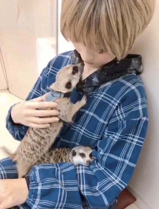 コスプレイヤー火将ロシエルのTwitter画像9
