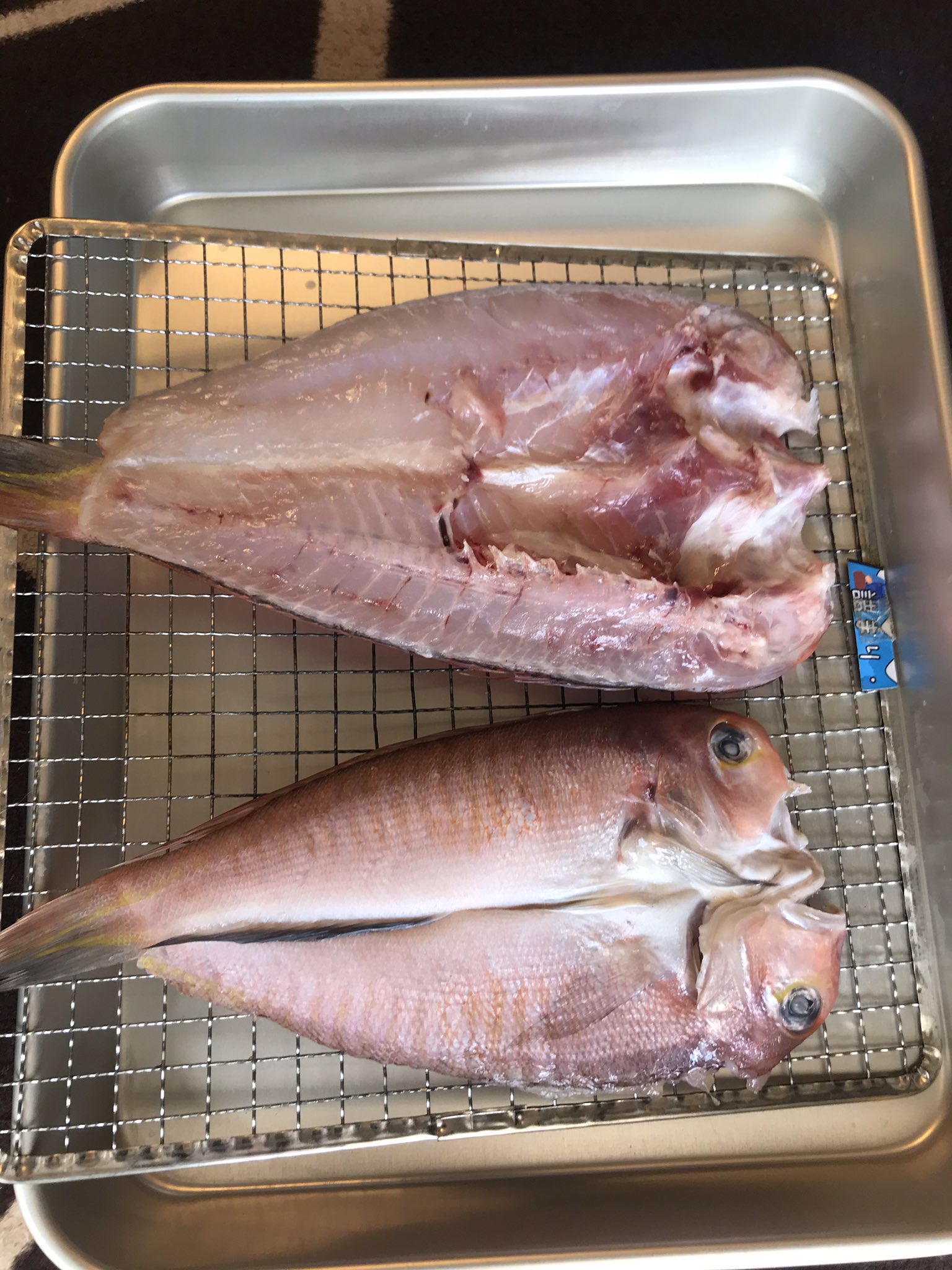 第五裕丸 静岡駿河湾の釣り船 先日の釣行で松下さんに頂いた甘鯛です 干物にしましたが 絶品ですね 甘鯛 アマダイ 甘鯛干物 アマダイ干物 釣り船 遊漁船 釣果釣果 駿河湾 田子の浦 第五裕丸 裕丸 ひろまる T Co 8i67zfsvrz