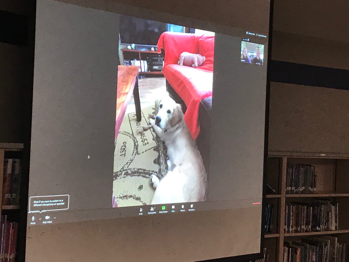 McKamyWorldTour's tweet photo. Thank you to Celine in Germany for being a wonderful start to this morning’s calls as we continue the 24 hour tour! She taught us about important German traditions and customs, and even introduced us to her dog!
#MckamyWorldTour https://t.co/TUSuF71ldE