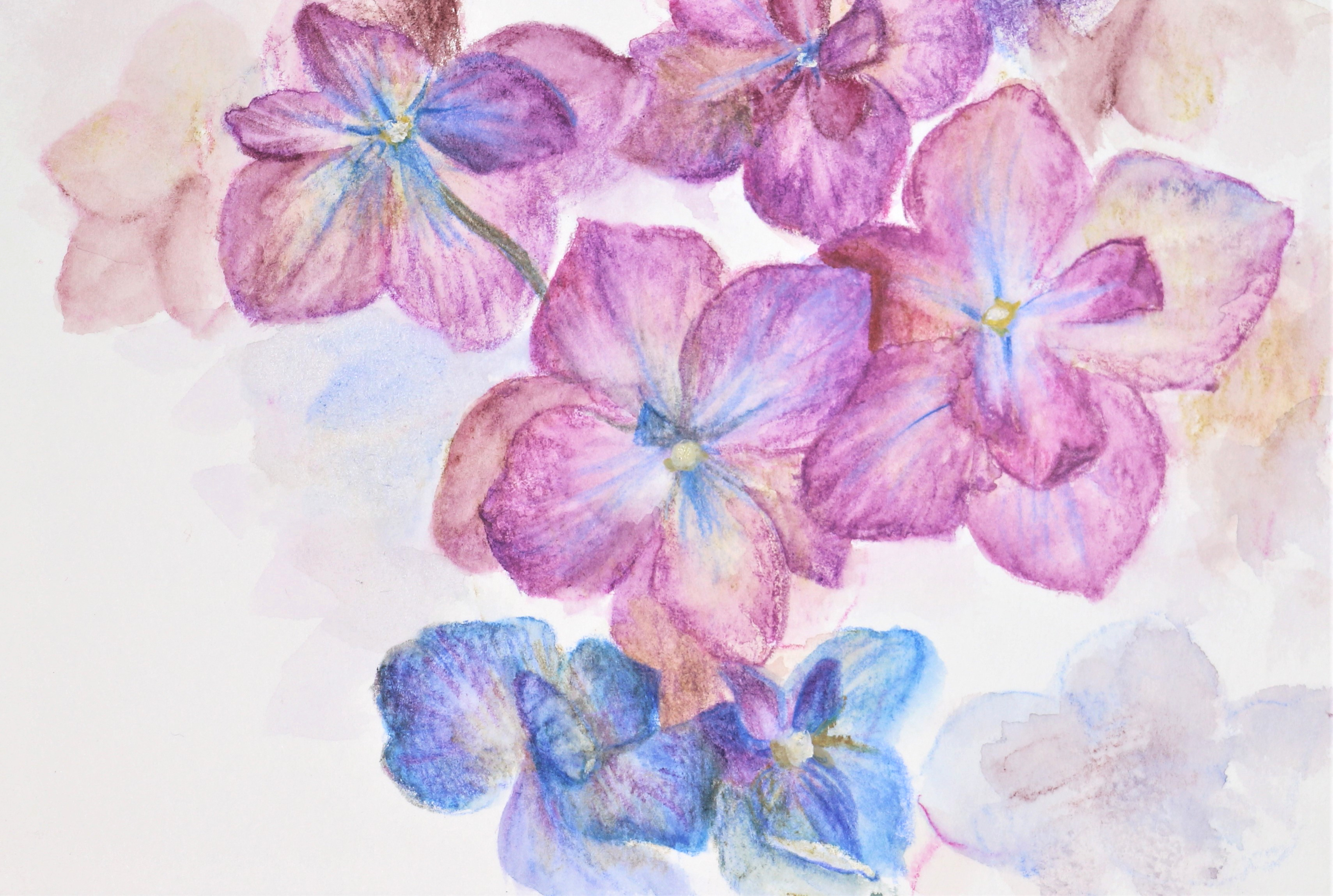 Kaiteki Art 快適アート Dairy Art Challenge 17 3 10の作品 ドライフラワーの 紫陽花を水彩色鉛筆で描いてみました ざらざらタッチでドライ感でた Youtube動画はこちら T Co Jsfffnvppt イラスト 色鉛筆 植物 T Co