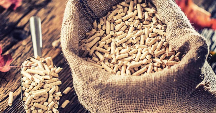 ecostanindia's tweet photo. The choice before us is simple. Will we continue to subsidize the dirty fossil fuels of the past or will we be able to transition to clean and renewable energy.
#biomasssolutions
#biomassenergy
#ECOSTAN
#BRIQUETTES
#PELLETS
#BRIQUETTEMACHINE https://t.co/o20Ub3S7UN