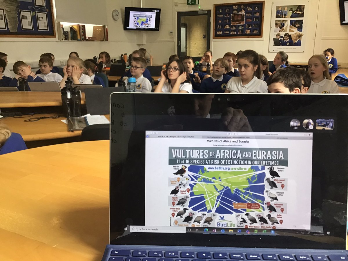 BeevorJames's tweet photo. Had a great @SkypeClassroom call with Debra Toor! She has definitely inspired some new #biologists. Amazing to hear all about Vultures and their importance to the ecosystem. #ScienceWeek2020 #Skype https://t.co/t3rKa1UWfx