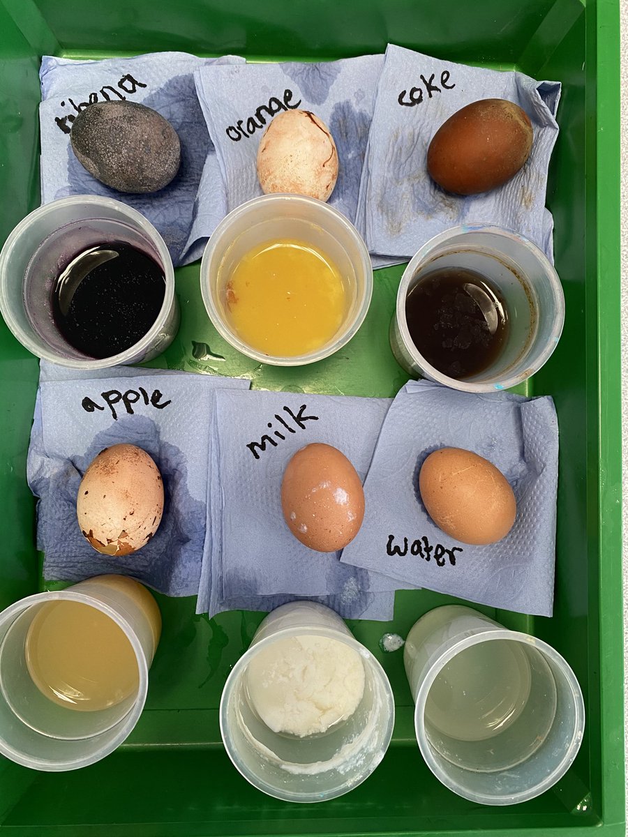 Reception have been exploring what different liquids do to your teeth. Take note! You may just want to drink only water and milk in the future! #BritishScienceWeek2020 #egg experiment #keep your teeth healthy