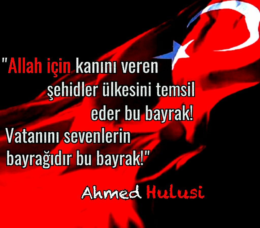 ♈♊♌Esin Tezer tweet media