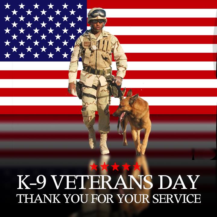 FOX10Phoenix's tweet photo. Thank you for your service! 🇺🇸

#NationalK9VeteransDay is celebrated on March 13th on the official birthday of the US Army K-9 Corps, which was formed in 1942. ❤️ https://t.co/oh0OBvd6Lf