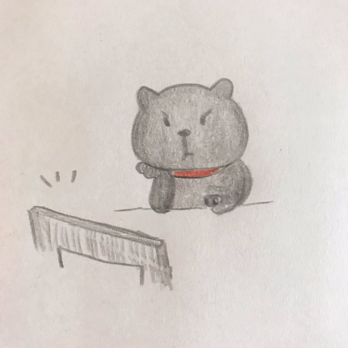 m____panda's tweet photo. 今日の小径
13.3.2020
「自宅待機で暇なねこ」
#ぱんださんの小径
#ねこ　#モカ
#DVD鑑賞中
.
モカ「やっぱり猫が好きって全然猫出てこないじゃん！」 https://t.co/KIjwFUgHJE