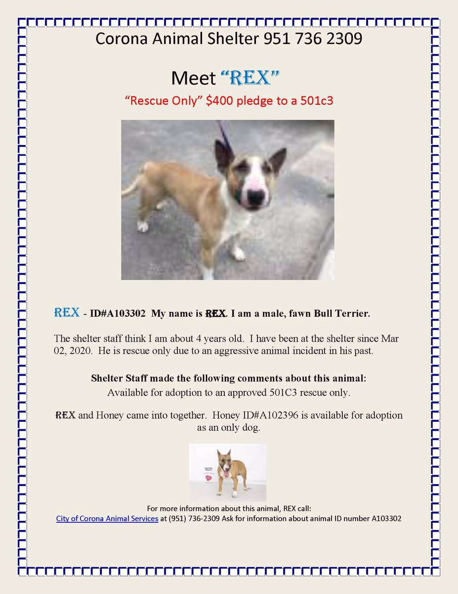 FriendsofCorona's tweet image. Corona Animal Shelter 
1330 Magnolia Avenue 
Corona, CA 92879
951.736.2309
 @GinnyHarman @lifeincorona @CoronaCA_ @CFAcrossings @FOXLA @NBCLA @CBSLA @CoronaPD @cityofcorona @SoCalTelevision