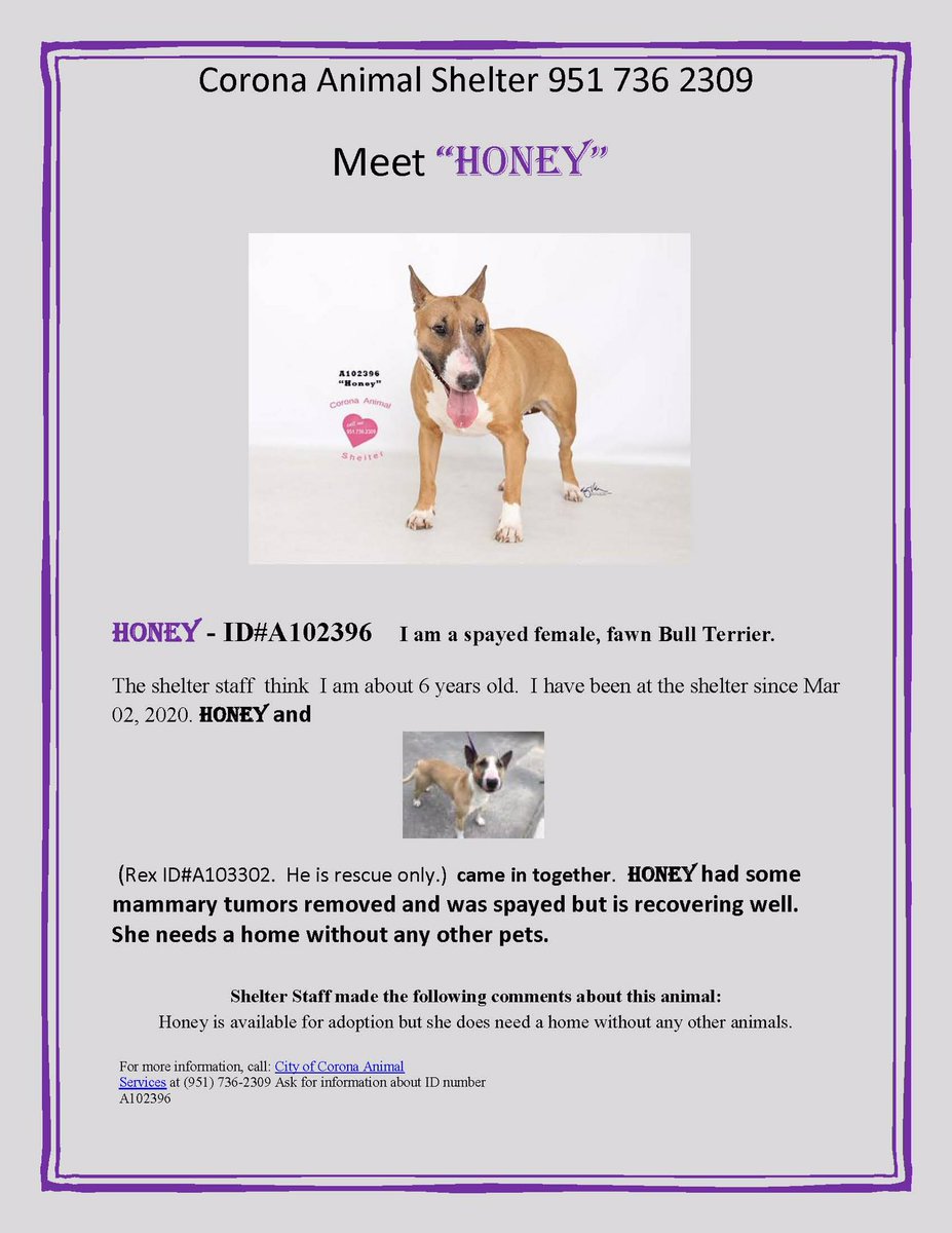 FriendsofCorona's tweet image. Corona Animal Shelter 
1330 Magnolia Avenue 
Corona, CA 92879
951.736.2309
 @GinnyHarman @lifeincorona @CoronaCA_ @CFAcrossings @FOXLA @NBCLA @CBSLA @CoronaPD @cityofcorona @SoCalTelevision